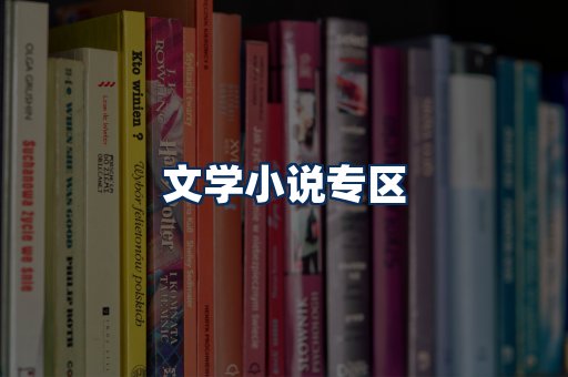 文学小说PDF展示